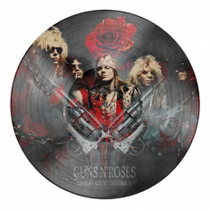 Live In The South America - Picture Vinyl | Guns N' Roses