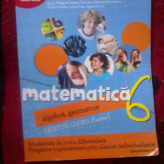 a10 Matematica algebra geometrie clasa a VI -a caiet de lucru partea I