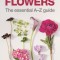 Buying &amp; Arranging Cut Flowers - The Essential A-Z Guide