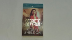 SIDNEY SHELDON - SECRETE DE FAMILIE foto