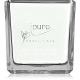 ipuro Essentials Floral Amsterdam lum&acirc;nare parfumată 125 g