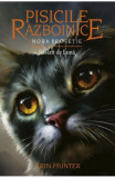 Pisicile razboinice (vol. 8): Noua profetie. Rasarit de luna, ALL