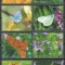 Aitutaki 2020 Mi 1133/40 MNH - Fluturi (160 &euro;)