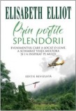 Prin portile splendorii - Scriptum