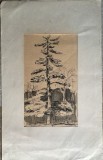 Lucrare Ștefan Popescu, tuș și laviu, 24 x 14 cm suprafata lucrata, paspartu carton subtire, arta romaneasca, artist roman