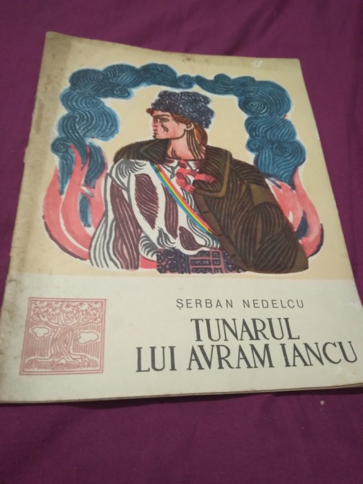 TUNARUL LUI AVRAM IANCU-SERBAN NEDELCU FORMAT MARE