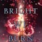 Bright We Burn