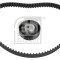 FEBI BILSTEIN 26117 Set curea de distributie