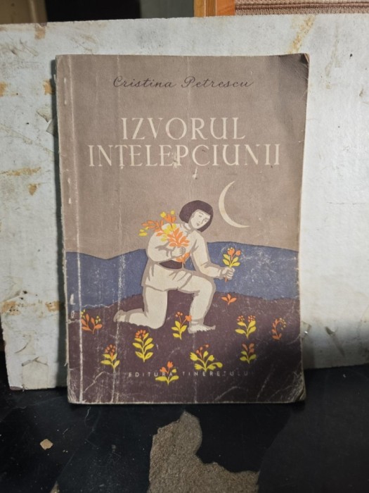 Izvorul &icirc;nțelepciunii - Cristina Petrescu