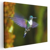 Tablou pasare colibri in zbor, mov, verde 1590 Tablou canvas pe panza CU RAMA 40x60 cm