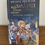 Romanii. Stigmai etnic, patrii imaginare - Ovidiu Pecican
