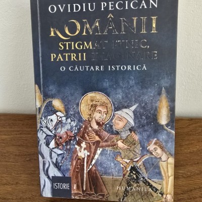 Romanii. Stigmai etnic, patrii imaginare - Ovidiu Pecican foto