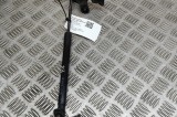 Amortizor capota st&acirc;nga față TESLA MODEL 3 2021 OEM: 1091472-00-B 28297358