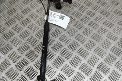Amortizor capota st&amp;acirc;nga față TESLA MODEL 3 2021 OEM: 1091472-00-B | 28297358 foto