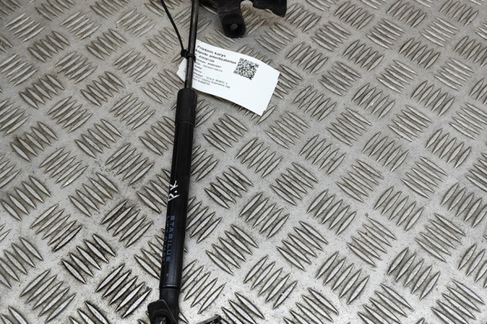 Amortizor capota st&acirc;nga față TESLA MODEL 3 2021 OEM: 1091472-00-B | 28297358