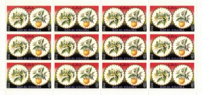 RAS AL KHAIMA 1972 - Flori si fructele lor/ minicoli complete MNH (12 serii complete) - cota Michel 96&amp;euro; [6 imagini] foto