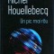 Michel Houellebecq - Un pic mai rau