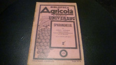 C. Lupascu - Sparanghelul -biblioteca agricola Universul - 1934 foto