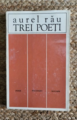 TREI POETI -AUREL RAU foto