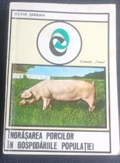 INGRASAREA PORCILOR IN GOSPODARIILE POPULATIEI Silvia Serban