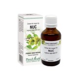 Cumpara ieftin Extract din muguri de Nuc, 50 ml, Plant Extrakt