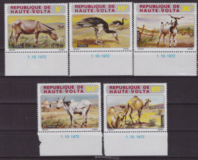 66-VOLTA SUPERIOARA -1972-Serie completa de 5 timbre nestampilate MNH foto