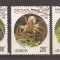 Congo 1994 - Insecte și arahnide, Stampilate