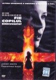 DVD Film: Fie copilul binecuvantat ( Kim Bassinger - vezi descriere )