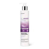 Balsam pentru netezire BIO Smooth BS16, 250ml, Erayba