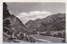 bnk cp Oltul la Cozia - Vedere - circulata