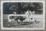Barbat cu catel si vaci, scena din ograda/ foto