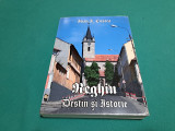 REGHIN *DESTIN ȘI ISTORIE /IOAN I. COSTEA /2007 *