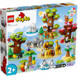 LEGO&reg; Duplo - Animale salbatice ale lumii (10975)