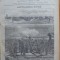 Ziarul Resboiul, nr. 145, 1877, Artileria rusa; baterii la Baneasa si Braila