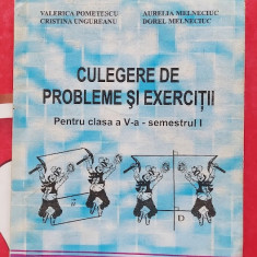 CULEGERE DE PROBLEME SI EXERCITII CLASA A V A SEMESTRUL I MELNECIUC POMETESCU