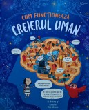 Cum Functioneaza Creierul Uman - Bertina Ip, 2020, 31 pagini, Coperta Cartonata, Carte pentru copii