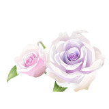 Cumpara ieftin Sticker decorativ Trandafiri, Alb, 90 cm, 7978ST, Oem