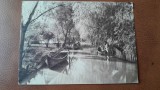 Carte postala, Delta Dunarii, perioada interbelica