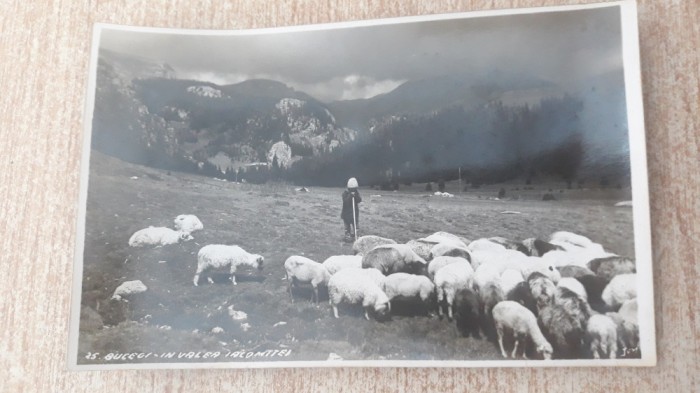 Bucegi - In valea Ialomitei.