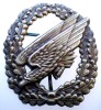 M.118 GERMANIA EMBLEMA COIFURA MILITARA CUC AVIATIE PARASUTISTI
