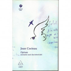 Opium: Jurnalul unei dezintoxicari - Jean Cocteau foto