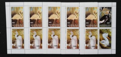 TUVA-PASARI FLAMINGO....5 x 1 M/Sh**( Colite )TR 24 foto