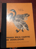 PRIMA MEA CARTE DE ZOOLOGIE