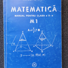 MATEMATICA MANUAL PENTRU CLASA A X-A ALGEBRA M1 - Mircea Ganga