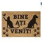 COVORAS INTRARE ANTIDERAPANT 60X40 CM, PAWS, HEINNER HOME