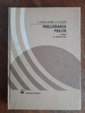 Prelucrarea pieilor, chimie si tehnologie - F. Platon, autograf / R5P3S, Alta editura