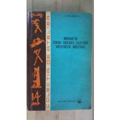 Indrumator pentru ridicarea calificarii vopsitorilor industriali- J.Iacobescu