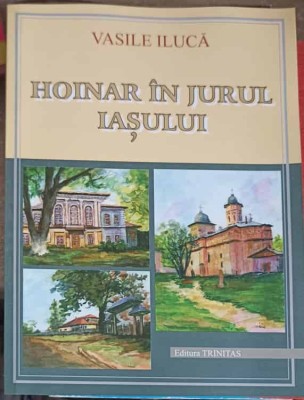 HOINAR IN JURUL IASULUI-VASILE ILUCA-225894 foto