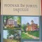 HOINAR IN JURUL IASULUI-VASILE ILUCA-259641