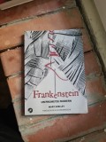 Frankenstein. Un prometeu modern